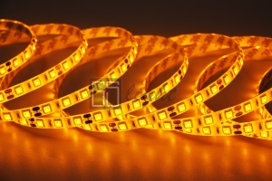 картинка Лента SMD 5050 60LED/m IP65 12V (жёлтый) от магазина gslight