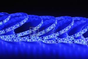 картинка Лента SMD 5050 60LED/m IP65 12V (синий) от магазина gslight