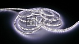 Герметичная светодиодная лента SMD 2835 120LED/m IP65 12V White 12.5W Герметичная светодиодная лента SMD 2835 120LED/m IP65 12V White 12.5W