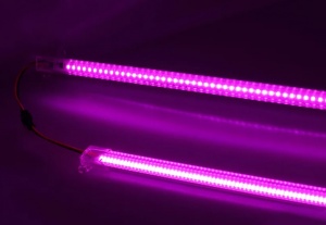 картинка Фито линейка 2835 72LED 220V 50 см от магазина gslight