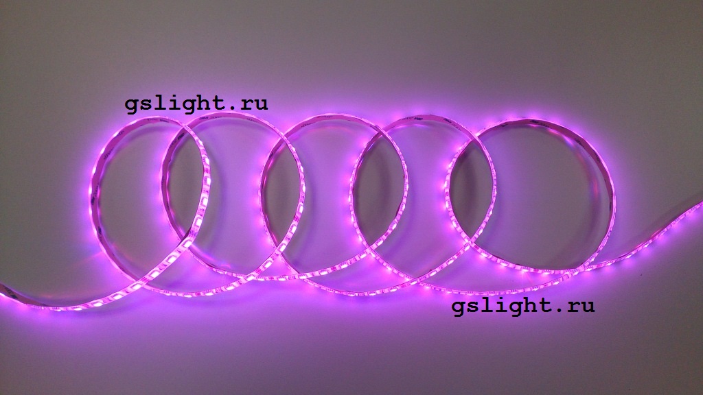 Герметичная светодиодная RGB-лента SMD 5050 60LED/m IP65 12V LUX GSlight Герметичная светодиодная RGB-лента SMD 5050 60LED/m IP65 12V LUX GSlight