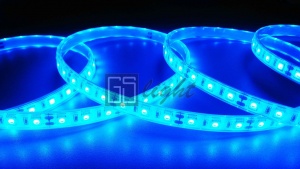 картинка Лента SMD 5050 60LED/m IP68 12V (синий) от магазина gslight