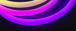 картинка Неон адресный 360 град круглый RGB 24в с контроллером управления по Bluetooth D18мм 5м от магазина gslight