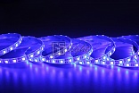 Герметичная светодиодная лента SMD 5050 60LED/m IP65 12V Blue LUX GSlight Герметичная светодиодная лента SMD 5050 60LED/m IP65 12V Blue LUX GSlight
