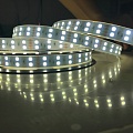 Герметичная светодиодная лента SMD 5050 120LED/m IP65 24V RGB+W Герметичная светодиодная лента SMD 5050 120LED/m IP65 24V RGB+W