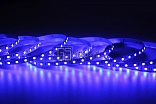 Открытая светодиодная лента SMD 5050 60LED/m IP33 12V Blue LUX GSlight Открытая светодиодная лента SMD 5050 60LED/m IP33 12V Blue LUX GSlight